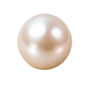 Moti (Pearl)